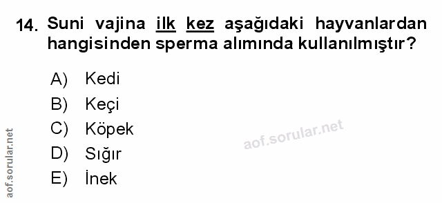 Soru 14