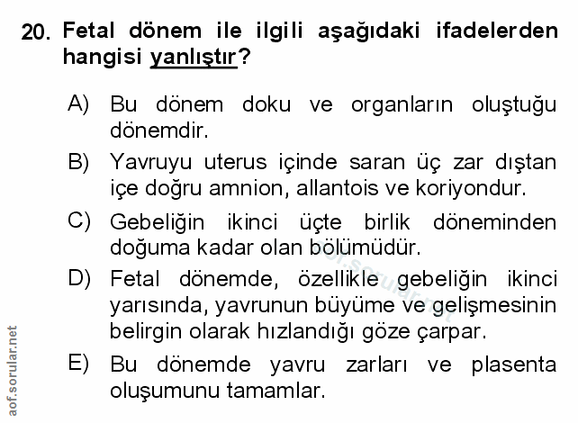 Soru 20
