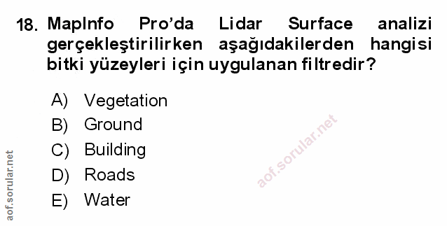 Soru 18