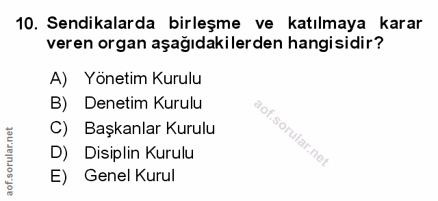 Soru 10