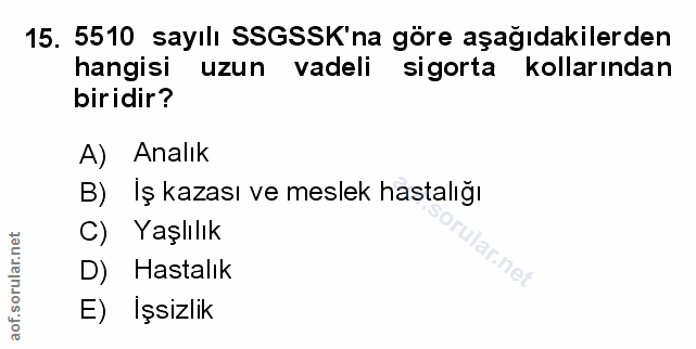 Soru 15