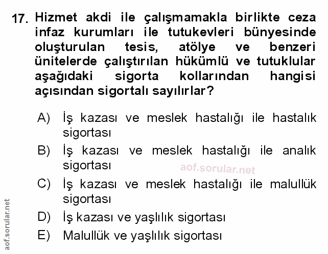 Soru 17