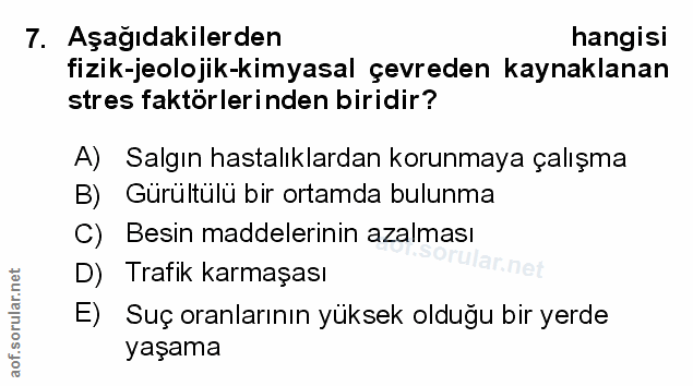 Soru 7