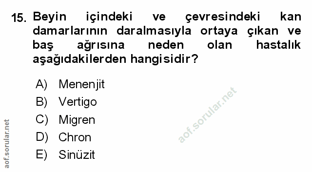 Soru 15