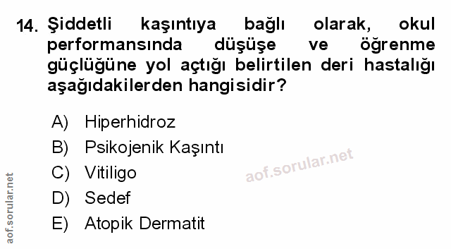 Soru 14