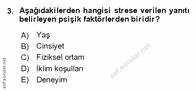 Soru 3