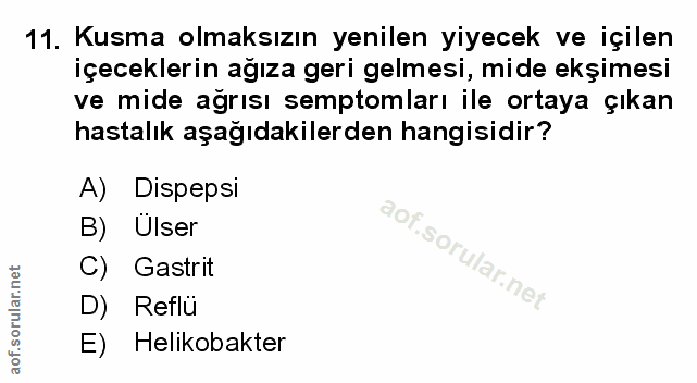Soru 11