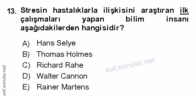 Soru 13