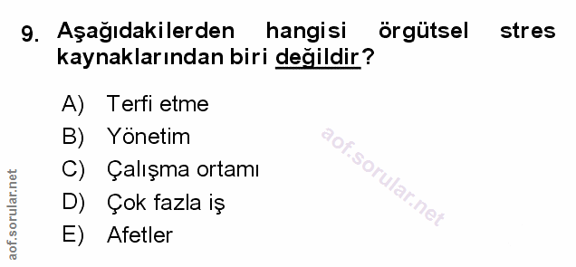 Soru 9