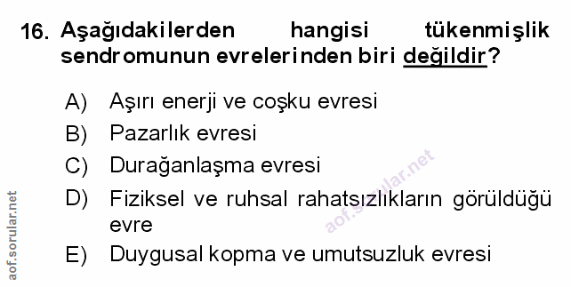 Soru 16