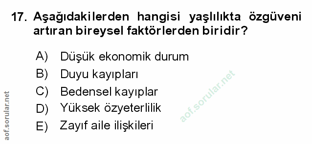Soru 17