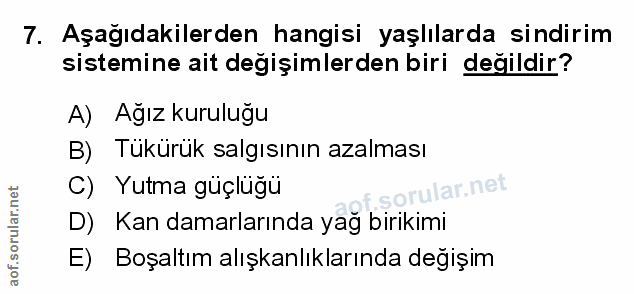 Soru 7