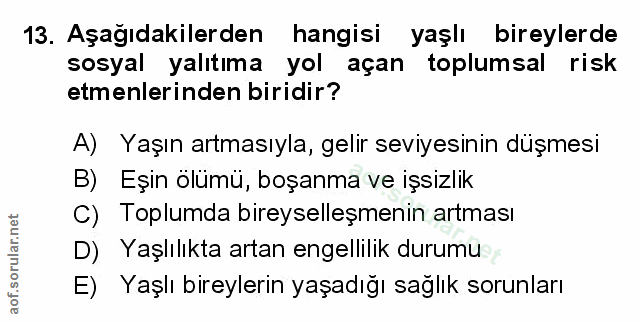 Soru 13