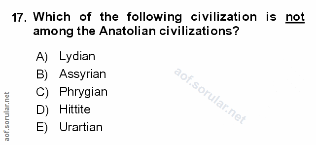 Soru 17