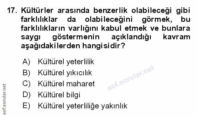 Soru 17