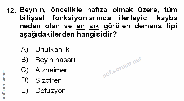 Soru 12
