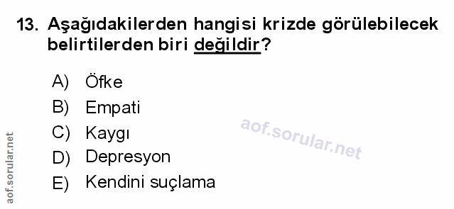 Soru 13