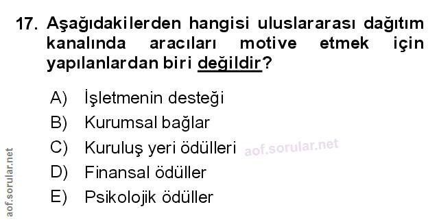 Soru 17