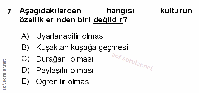 Soru 7