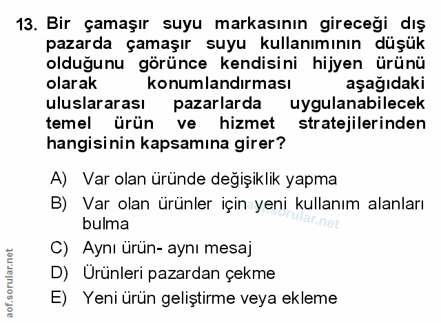 Soru 13