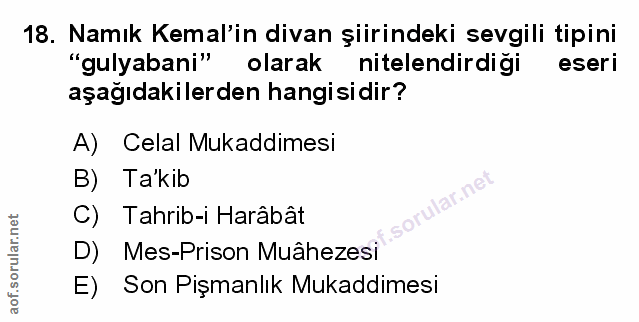 Soru 18