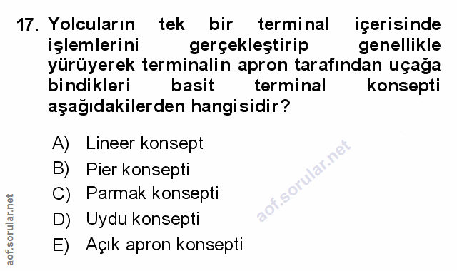 Soru 17
