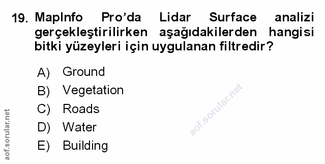 Soru 19