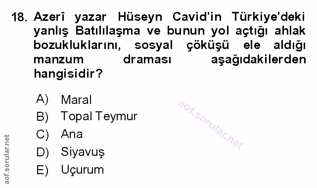 Soru 18