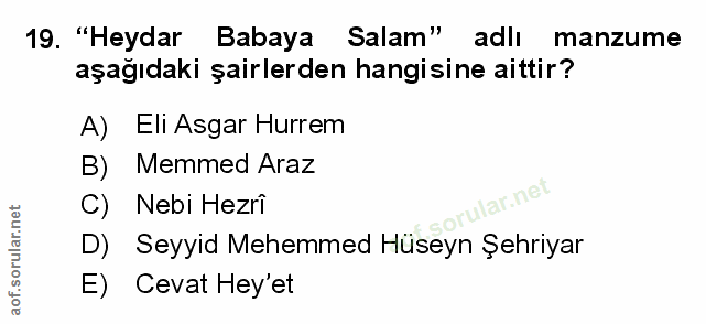 Soru 19