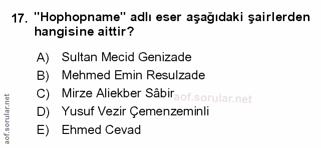 Soru 17