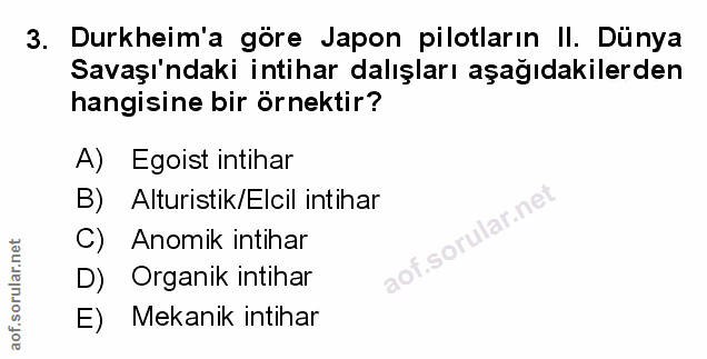Soru 3