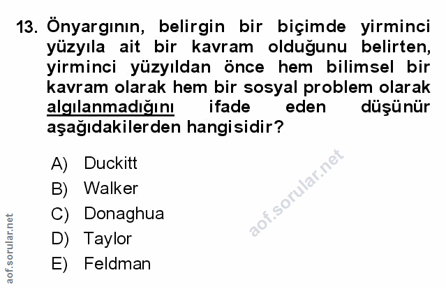 Soru 13