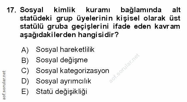 Soru 17