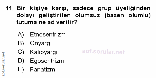 Soru 11