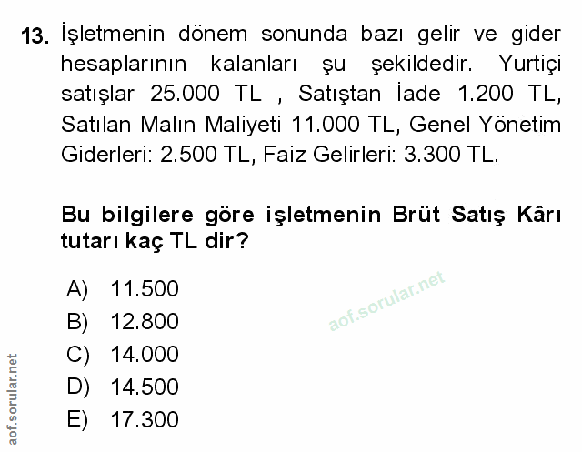 Soru 13