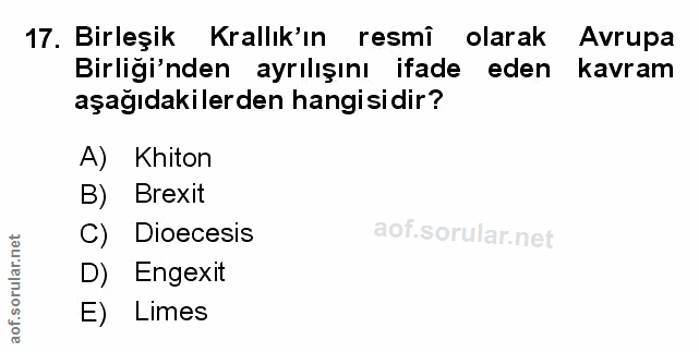 Soru 17