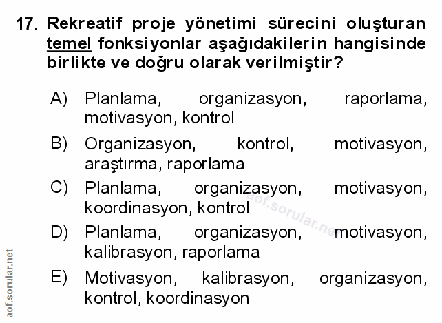Soru 17