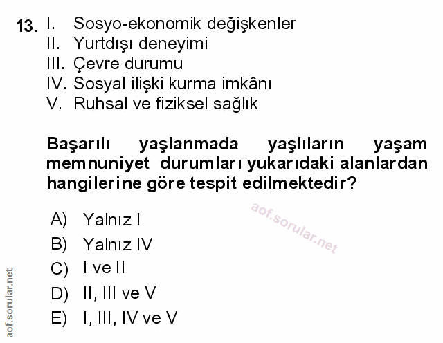 Soru 13