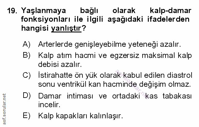 Soru 19