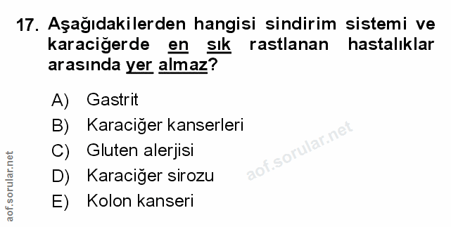 Soru 17