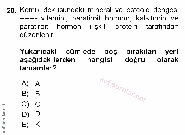 Soru 20