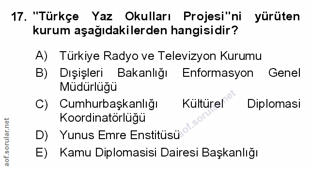 Soru 17