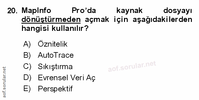 Soru 20