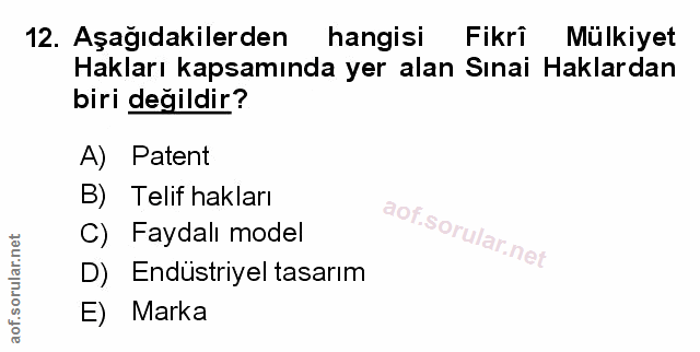 Soru 12
