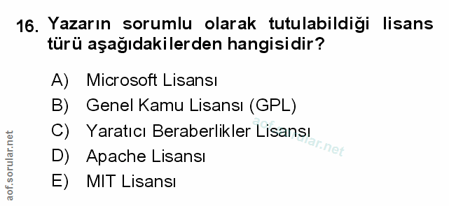 Soru 16