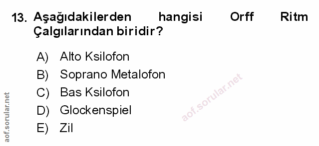 Soru 13