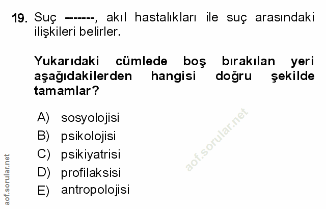Soru 19