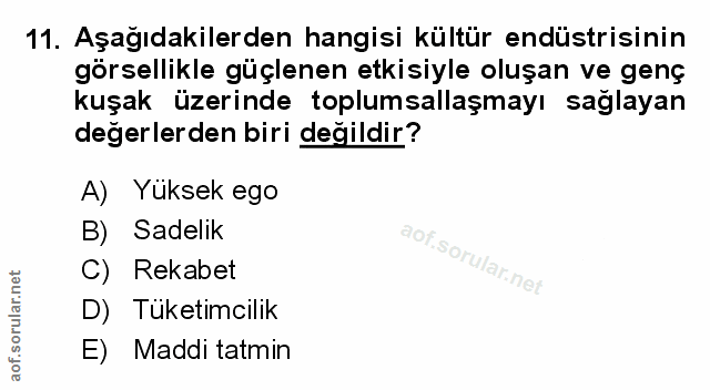 Soru 11