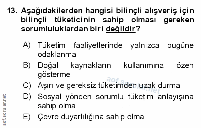 Soru 13