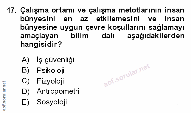 Soru 17